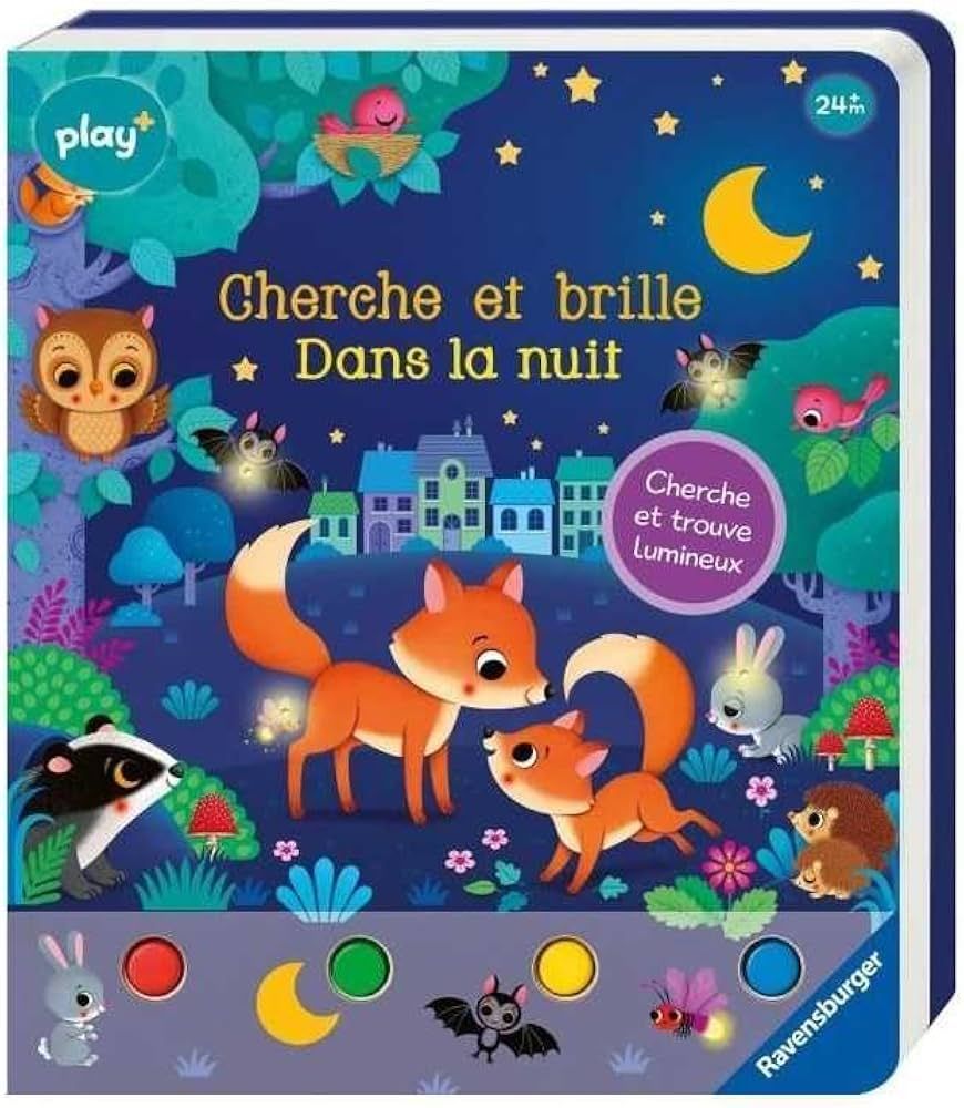 DANS LA NUIT - QUI OBSERVES-TU DANS LA NUIT ?