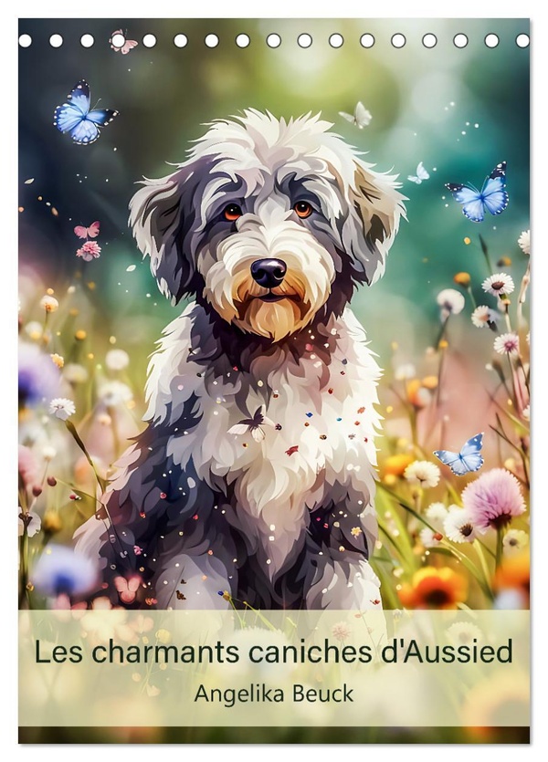 CHARMANTS CANICHES D AUSSIED ANGELIKA BE - CHAQUE MOIS LAISSEZ VOUS SEDUI