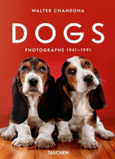WALTER CHANDOHA. DOGS. PHOTOGRAPHS 19411991