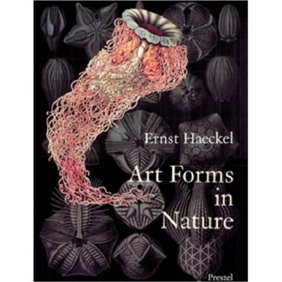 ERNST HAECKEL ART FORMS IN NATURE /ANGLAIS