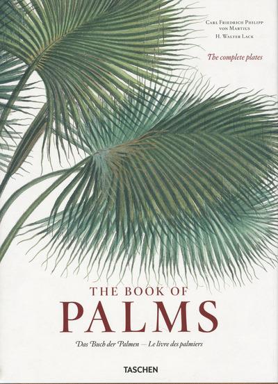 MARTIUS. THE BOOK OF PALMS