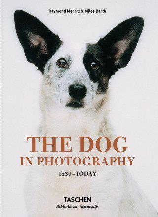 THE DOG IN PHOTOGRAPHY 1839 TODAY - EDITION MULTILINGUE