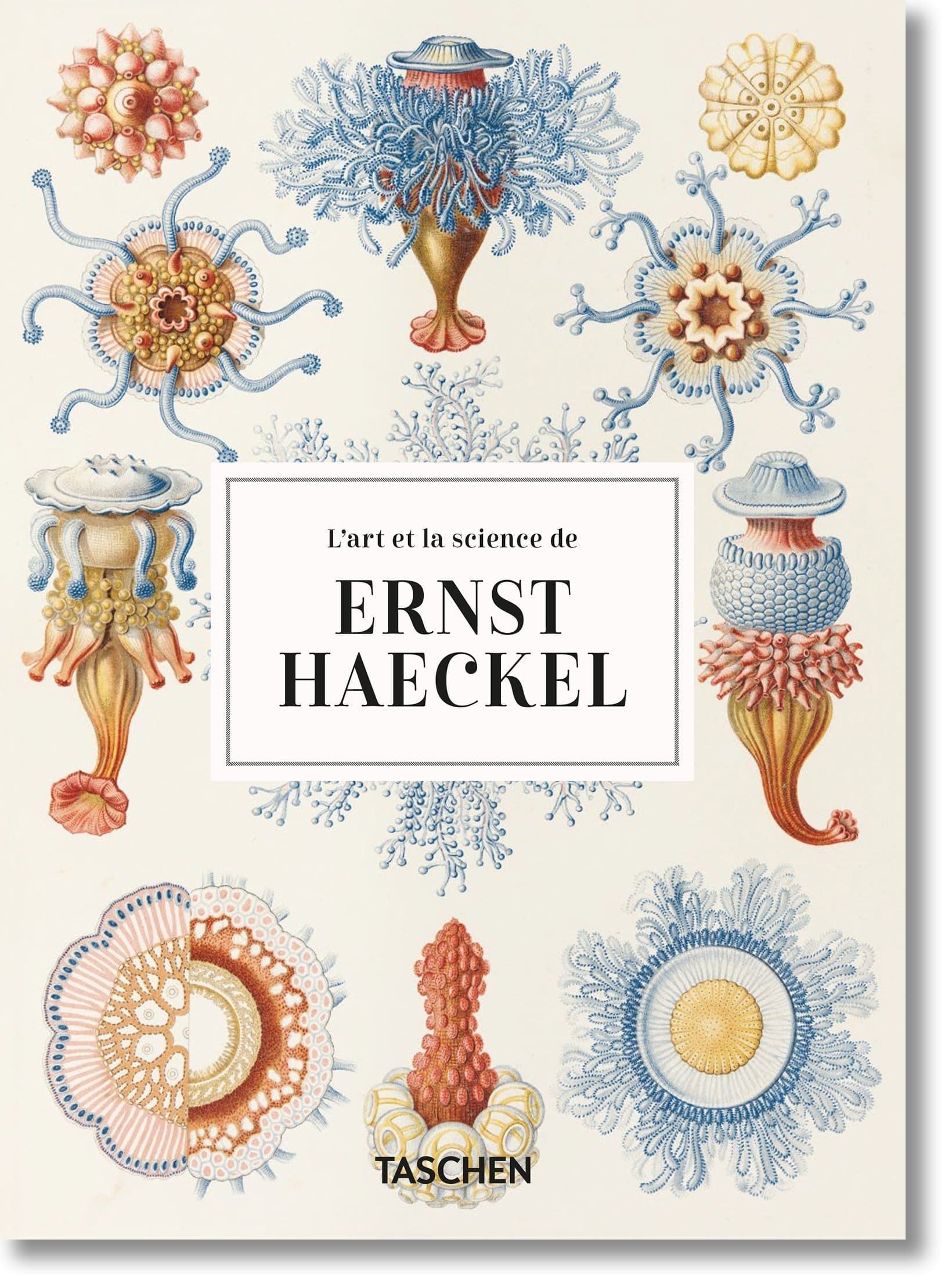 L'ART ET LA SCIENCE DE ERNST HAECKEL. 45TH ED.