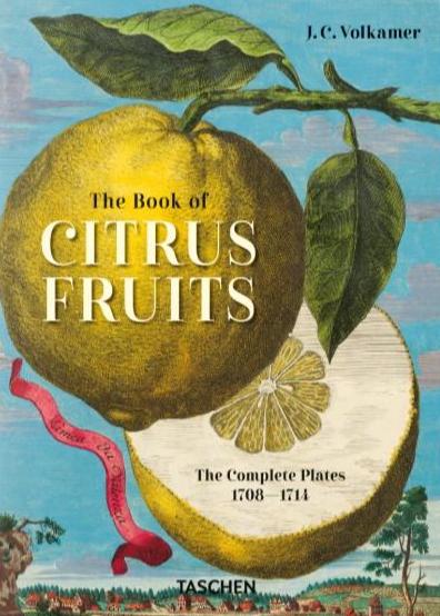 J. C. VOLKAMER. THE BOOK OF CITRUS FRUITS. 45TH ED. - EDITION MULTILINGUE