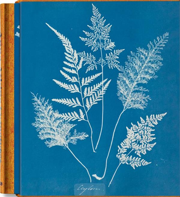 ANNA ATKINS. CYANOTYPES - EDITION MULTILINGUE