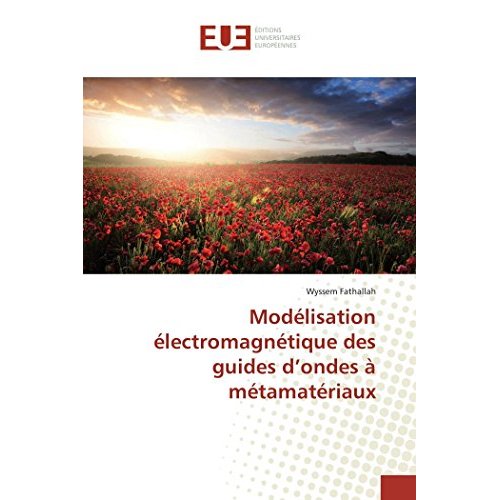 MODELISATION ELECTROMAGNETIQUE DES GUIDES D'ONDES A METAMATERIAUX