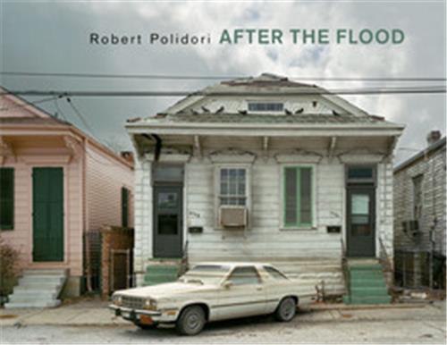 ROBERT POLIDORI AFTER THE FLOOD /ANGLAIS