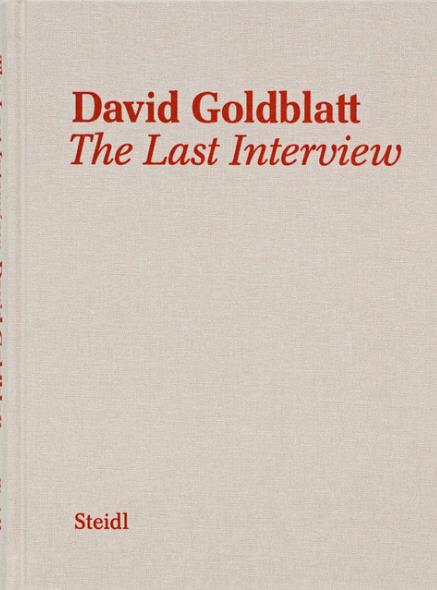 DAVID GOLDBLATT THE LAST INTERVIEW /ANGLAIS