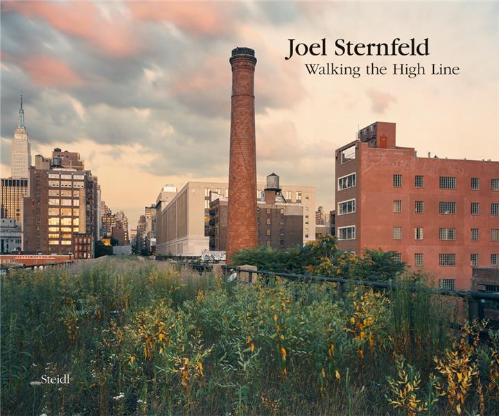 JOEL STERNFELD WALKING THE HIGH LINE (NEW EDITION 2020) /ANGLAIS