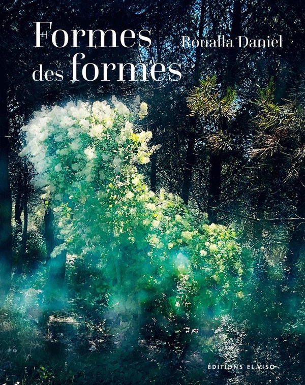 FORMES DES FORMES