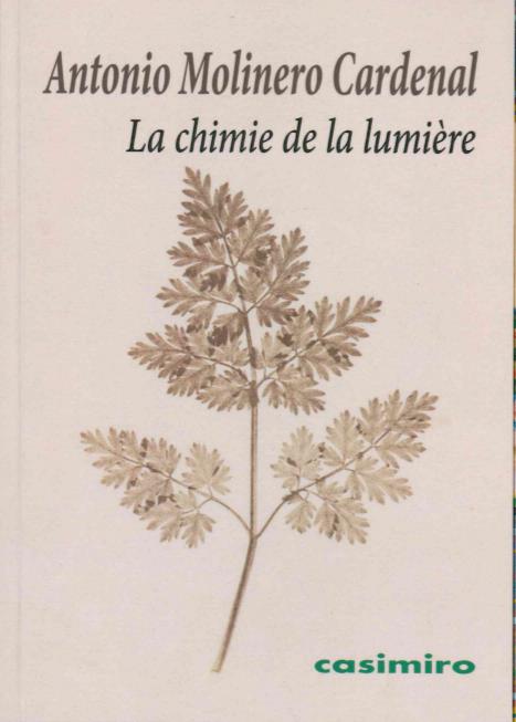LA CHIMIE DE LA LUMIERE - OU LA NAISSANCE DU PHOTOGRAMME