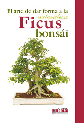 FICUS BONSAI - EL ARTE DE DAR FORMA A LA NATURALEZA