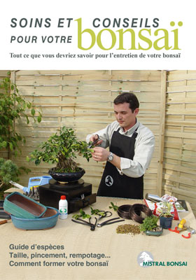 SOINS ET CONSEILS POUR VOTRE BONSAI