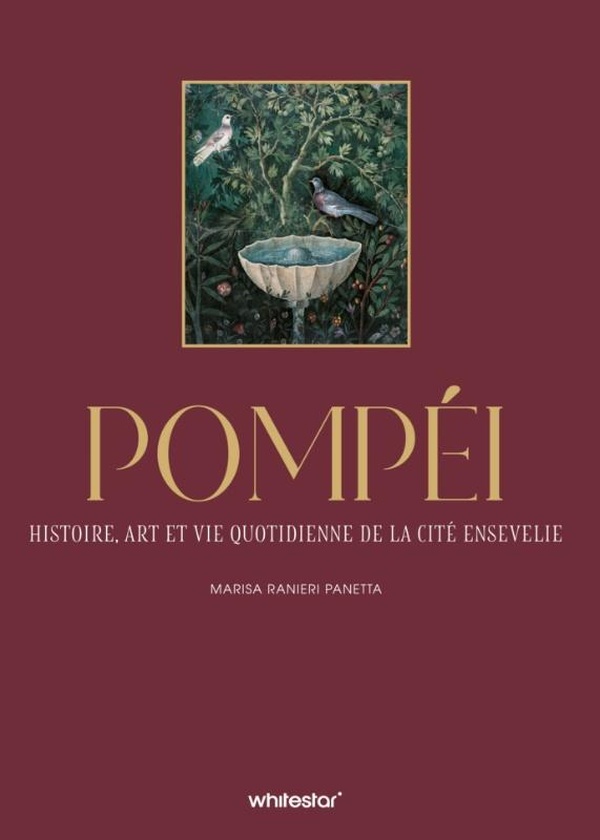 POMPEI - HISTOIRE, ART ET VIE QUOTIDIENNE DE LA CITE ENSEVELIE