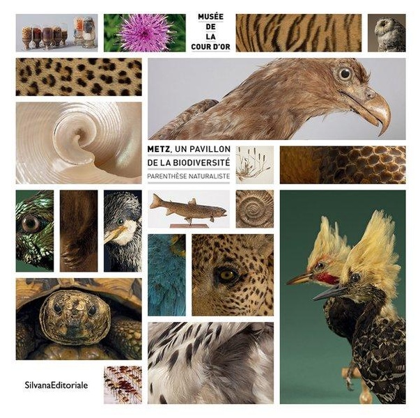 METZ, UN PAVILLON DE LA BIODIVERSITE : PARENTHESE NATURALISTE