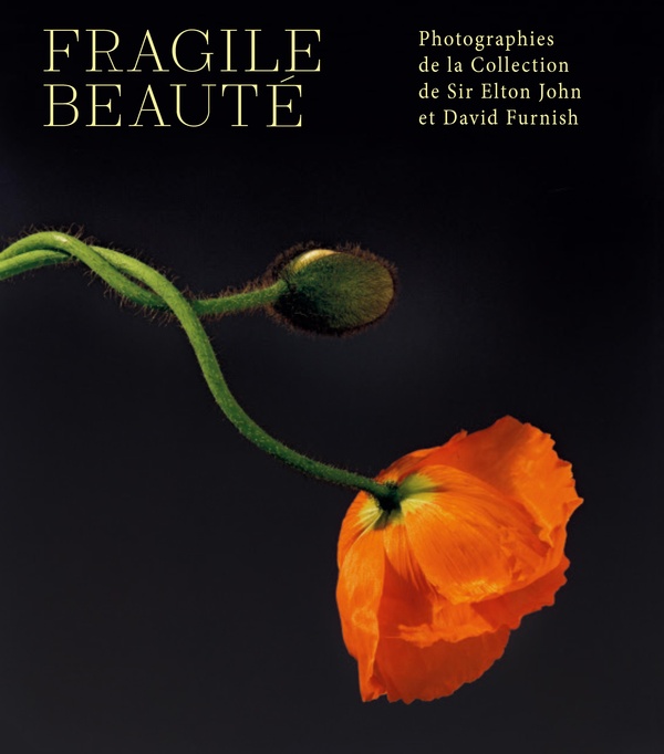 FRAGILE BEAUTE - PHOTOGRAPHIES DE LA COLLECTION DE SIR ELTON JOHN ET DAVID FURNISH - ILLUSTRATIONS,
