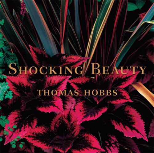 SHOCKING BEAUTY (HARDBACK) /ANGLAIS