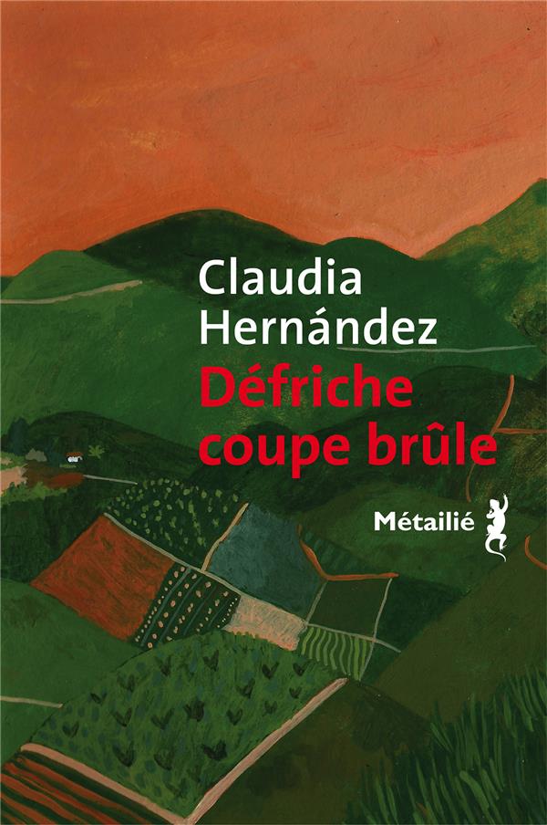 DEFRICHE COUPE BRULE