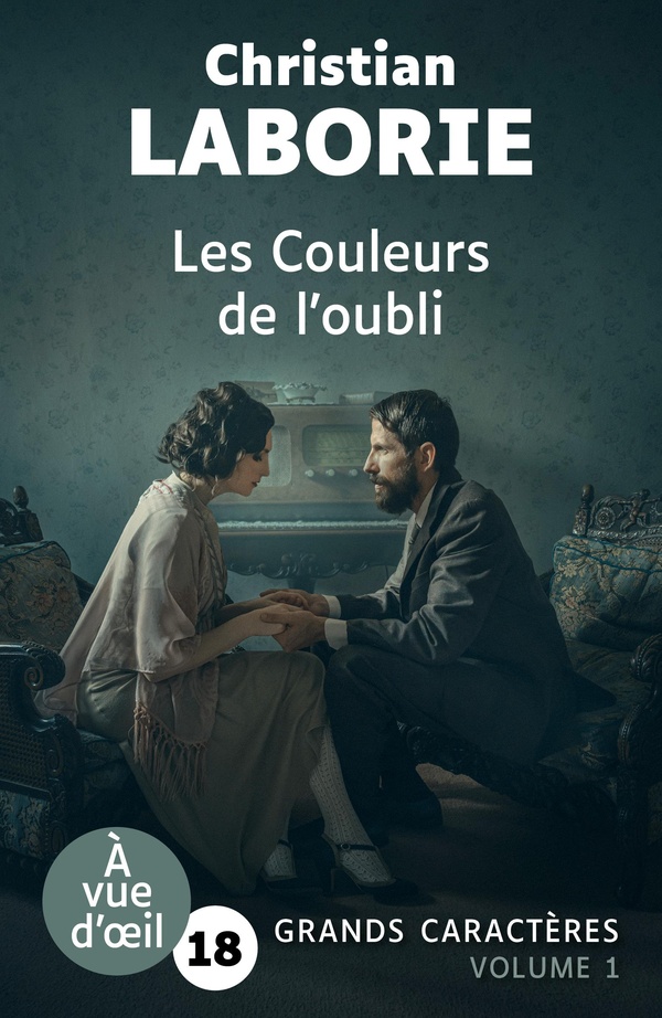 LES COULEURS DE L'OUBLI (2 VOLUMES) - GRANDS CARACTERES, EDITION ACCESSIBLE POUR LES MALVOYANTS