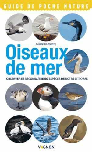 OISEAUX DE MER