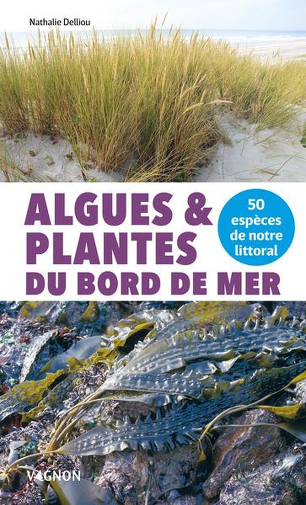 ALGUES ET PLANTES DU BORD DE MER - 50 ESPECES DE NOTRE LITTORAL