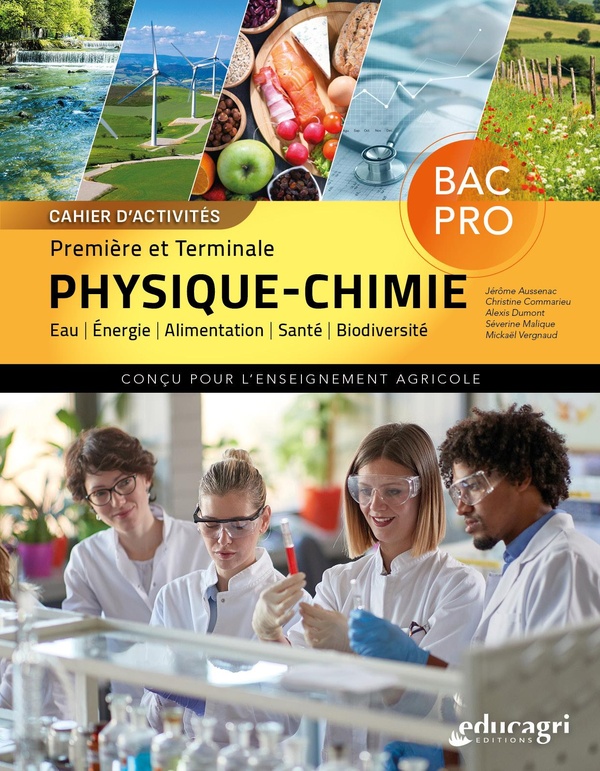 CAHIER D'ACTIVITES PHYSIQUE/CHIMIE - 1RE ET TERMINALE BAC PRO