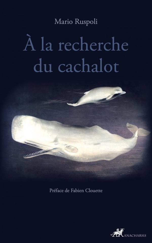 A LA RECHERCHE DU CACHALOT