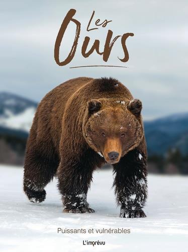 LES OURS - PUISSANTS ET VULNERABLES