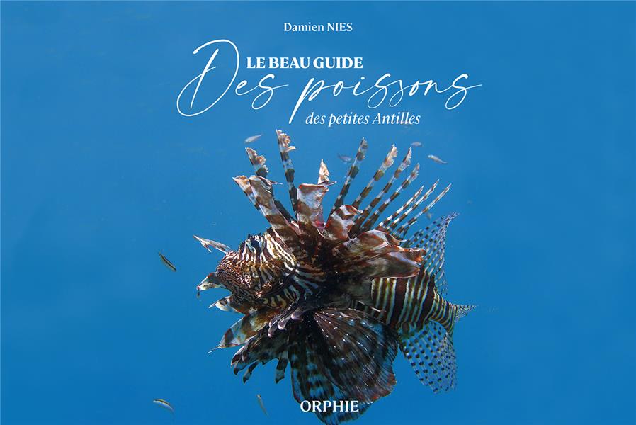 LE BEAU GUIDE DES POISSONS DES PETITES ANTILLES