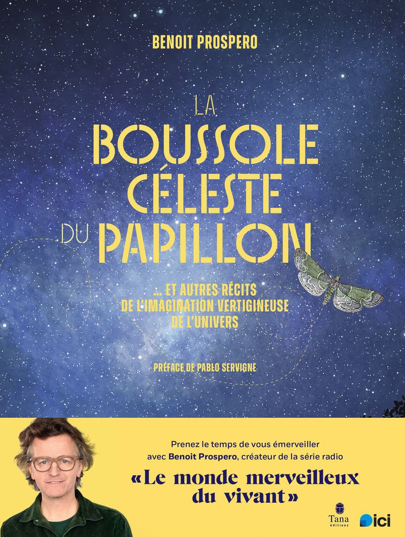 LA BOUSSOLE CELESTE DU PAPILLON