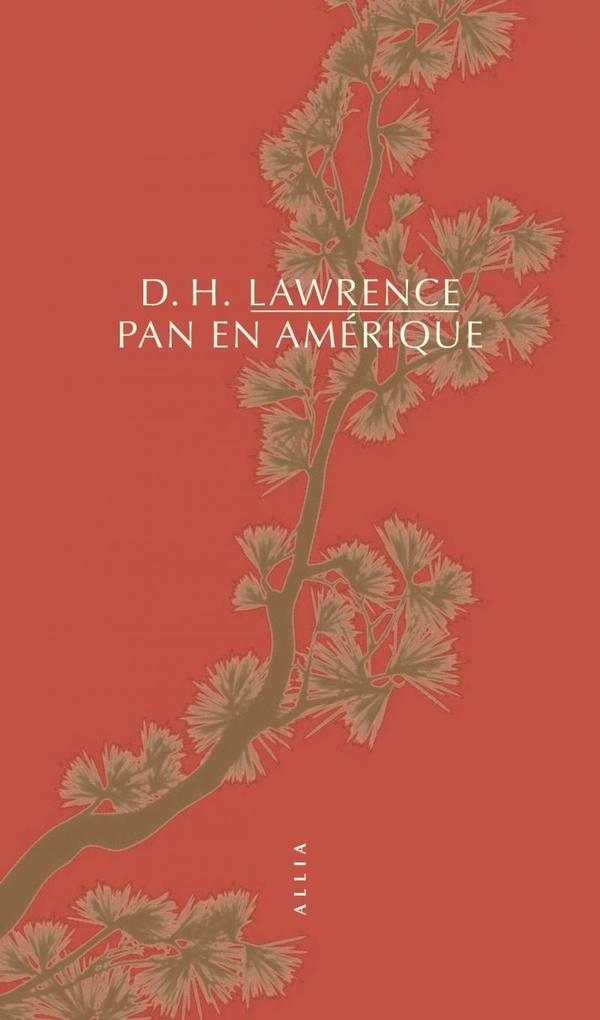 PAN EN AMERIQUE