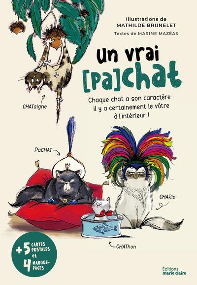 UN VRAI (PA)CHAT - CHAQUE CHAT A SON CARACTERE : IL Y A CERTAINEMENT LE VOTRE A L'INTERIEUR !