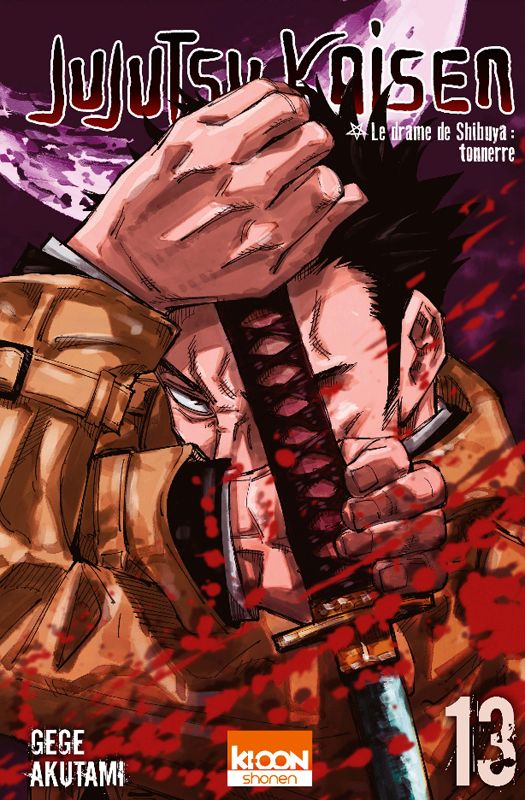 JUJUTSU KAISEN T13