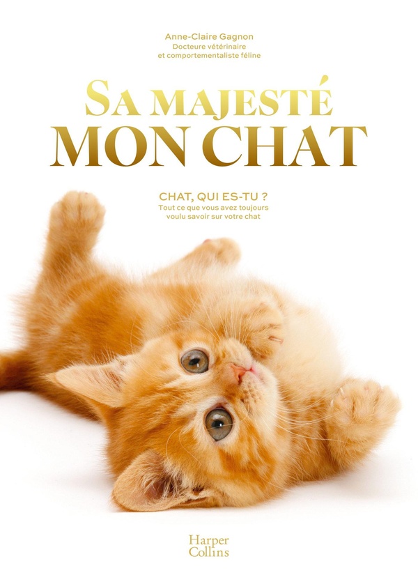 SA MAJESTE MON CHAT - CHAT, QUI ES-TU ? TOUT CE QUE VOUS AVEZ TOUJOURS VOULU SAVOIR SUR VOTRE CHAT