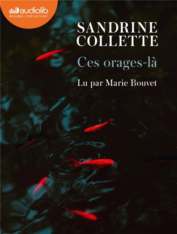CES ORAGES-LA - LIVRE AUDIO 1 CD MP3