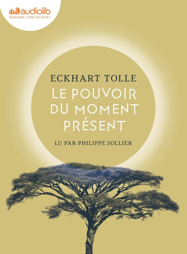 LE POUVOIR DU MOMENT PRESENT - LIVRE AUDIO 1 CD MP3
