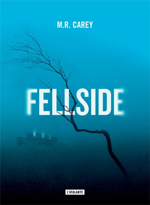 FELLSIDE