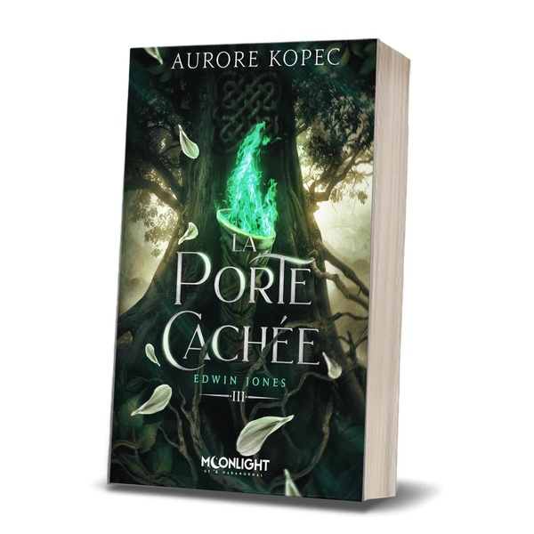 EDWIN JONES - T03 - EDWIN JONES 3 : LA PORTE CACHEE