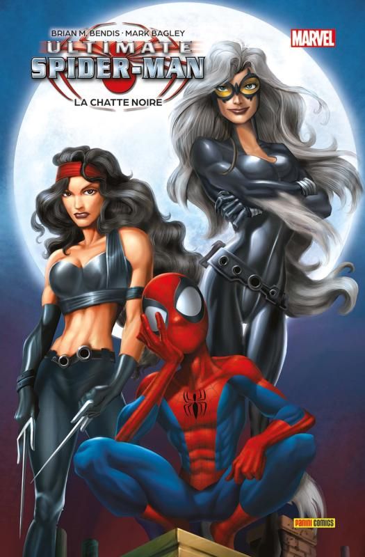 ULTIMATE SPIDER-MAN T04 : LA CHATTE NOIRE