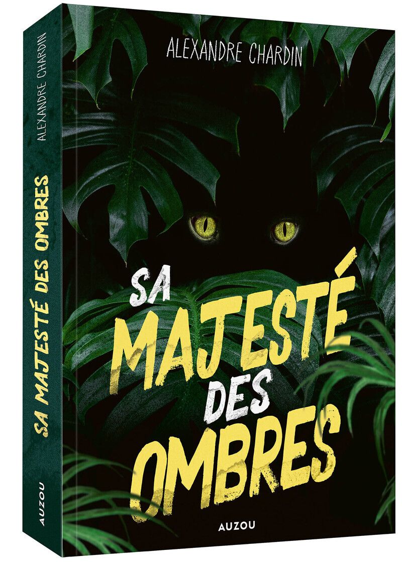 SA MAJESTE DES OMBRES