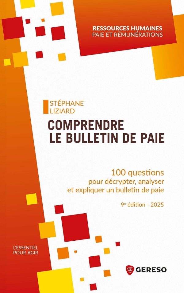 COMPRENDRE LE BULLETIN DE PAIE - 100 QUESTIONS POUR DECRYPTER, ANALYSER ET EXPLIQUER UN BULLETIN DE