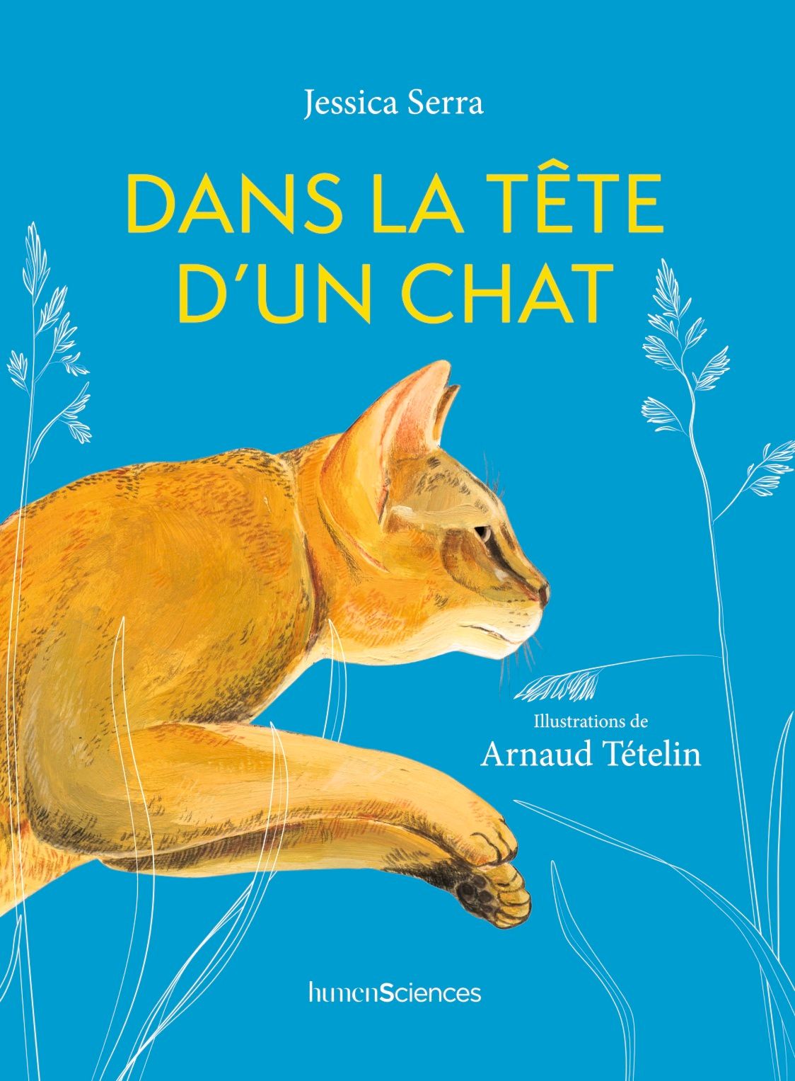DANS LA TETE D'UN CHAT