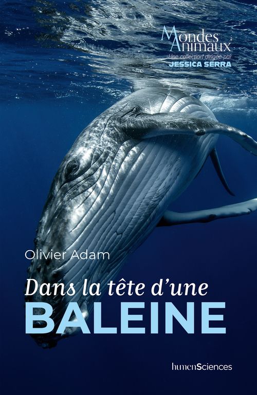 DANS LA TETE D'UNE BALEINE