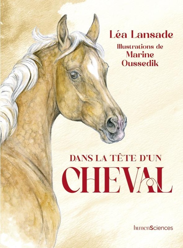 DANS LA TETE D'UN CHEVAL