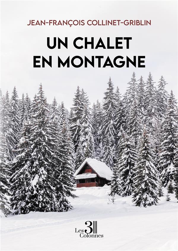 UN CHALET EN MONTAGNE