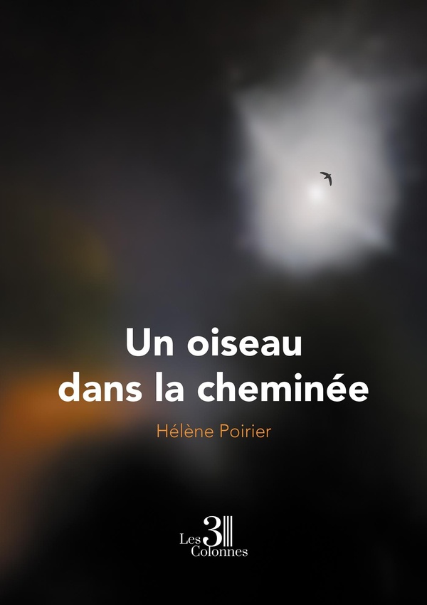 UN OISEAU DANS LA CHEMINEE
