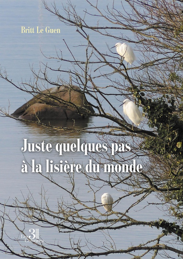 JUSTE QUELQUES PAS A LA LISIERE DU MONDE