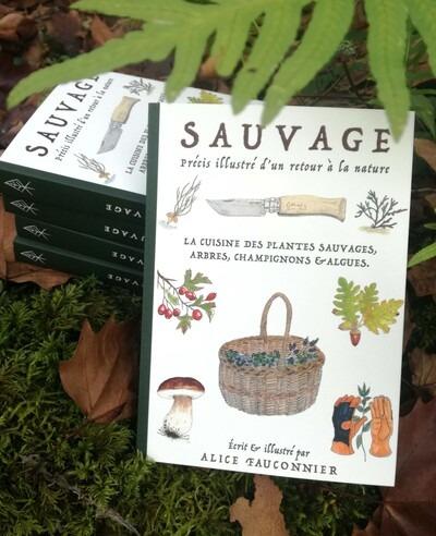 SAUVAGE, PRECIS ILLUSTRE D'UN RETOUR A LA NATURE - LA CUISINE DES PLANTES SAUVAGES, ARBRES, CHAMPIGN