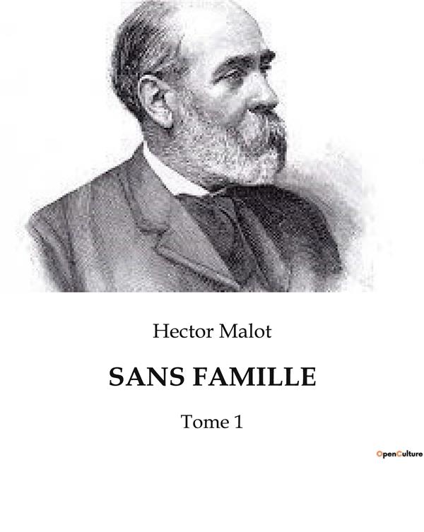 SANS FAMILLE - TOME 1
