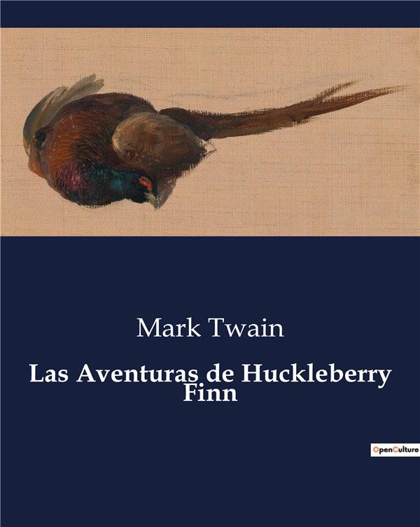 LAS AVENTURAS DE HUCKLEBERRY FINN